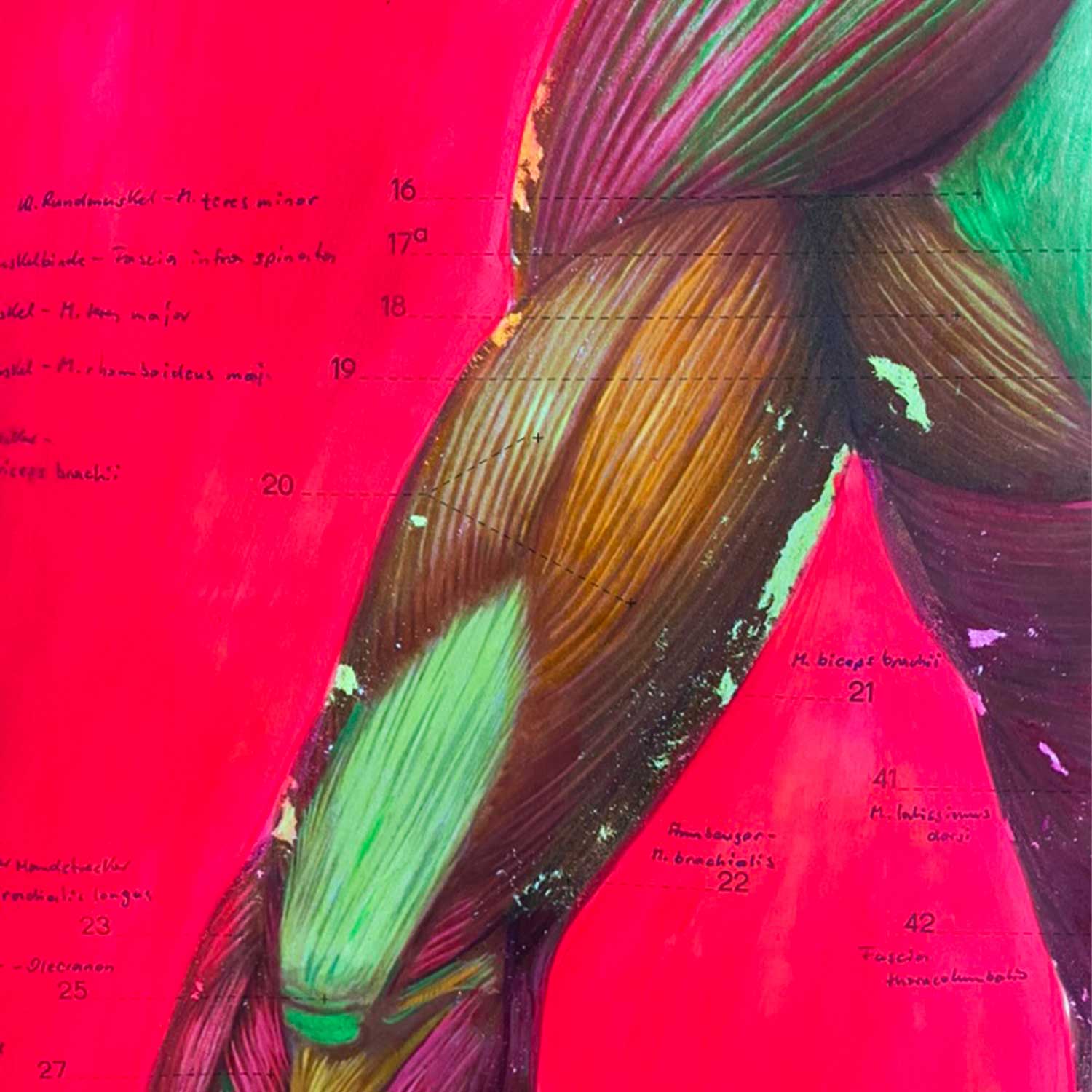 MUSCLES ist ein einzigartiges Originalkunstwerk auf einer DDR-Schulkarte von 1988 des Deutschen Hygienemuseums – abstrakt überarbeitet mit Neon-Buntstiften und Neon-Tinte. Vintage Anatomie trifft auf zeitgenössische Neon Art.