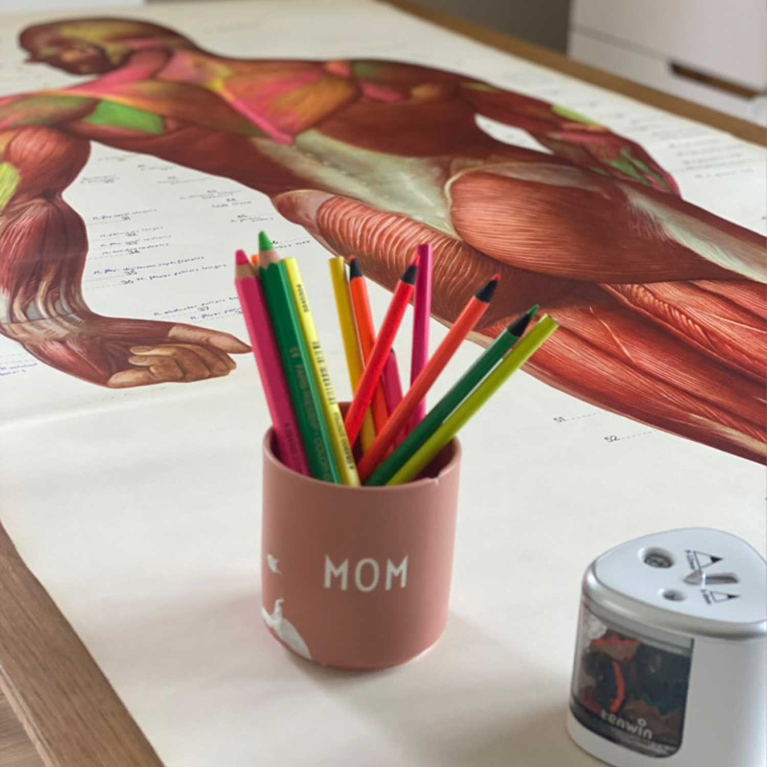 MUSCLES ist ein einzigartiges Originalkunstwerk auf einer DDR-Schulkarte von 1988 des Deutschen Hygienemuseums – abstrakt überarbeitet mit Neon-Buntstiften und Neon-Tinte. Vintage Anatomie trifft auf zeitgenössische Neon Art.